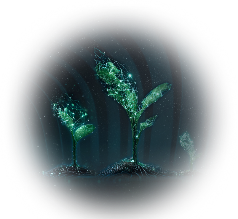 Brotes Tech - Universe