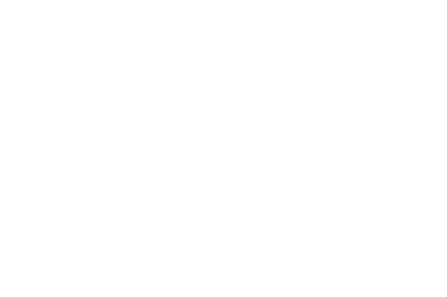 SBI Technology