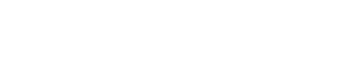 The Hybrid